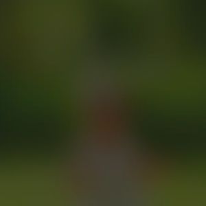 Meet your Posher, Daniela